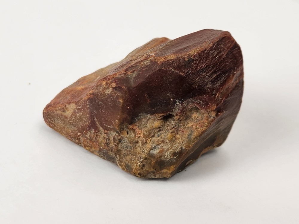 Petrified Wood - Eocene - Jackson Group (?) - Grimes Co., TX