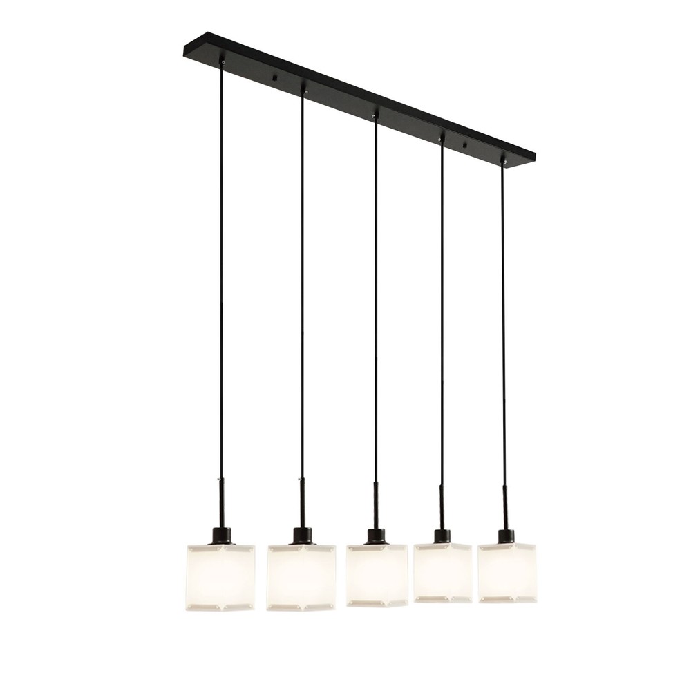 Modern 5-Light Ceiling Light Fixture Ceiling Mounted Light Indoor Ceiling Light.