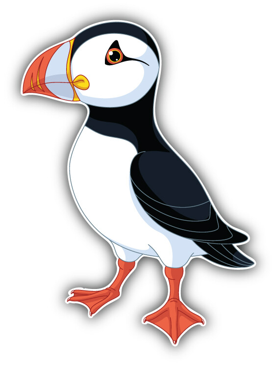 Atlantic Puffin Car Bumper Sticker Decal -  ''SIZES''