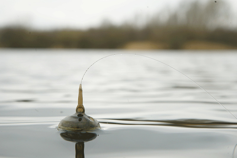 Fox NEW Edges Zig Float Kit - Carp Fishing Floats - CAC753