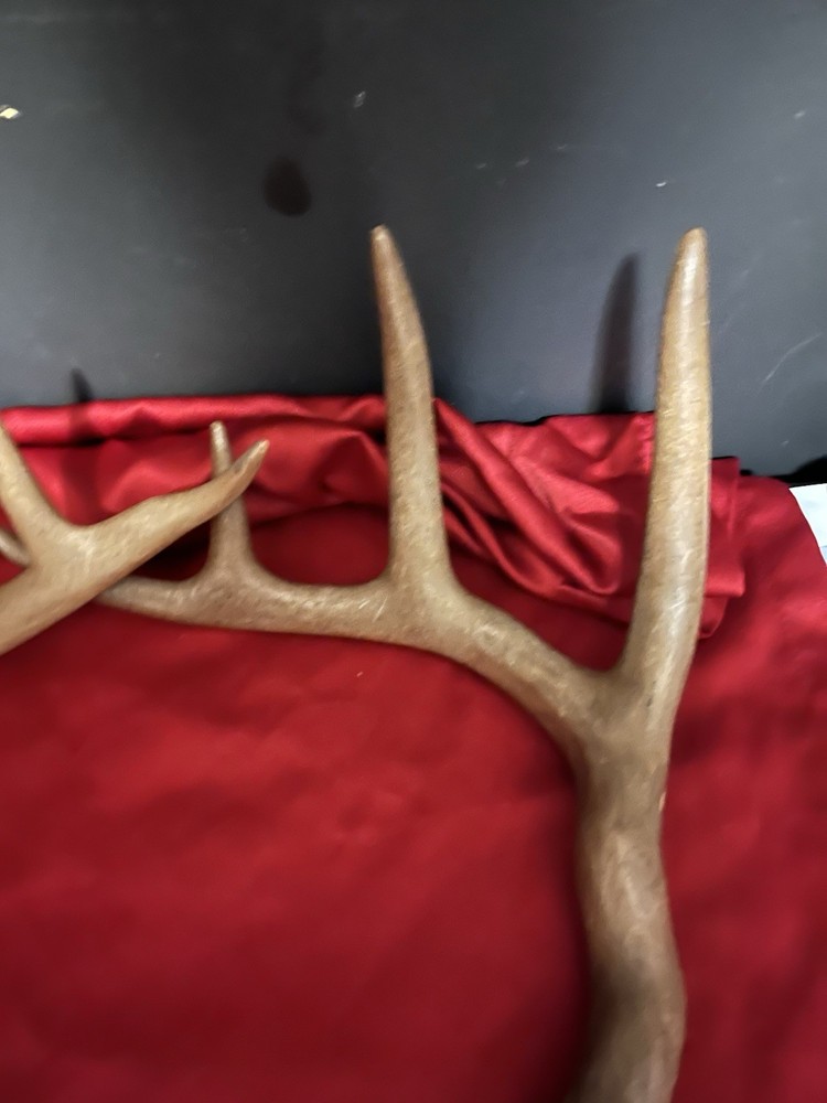 Faux Deer Antlers