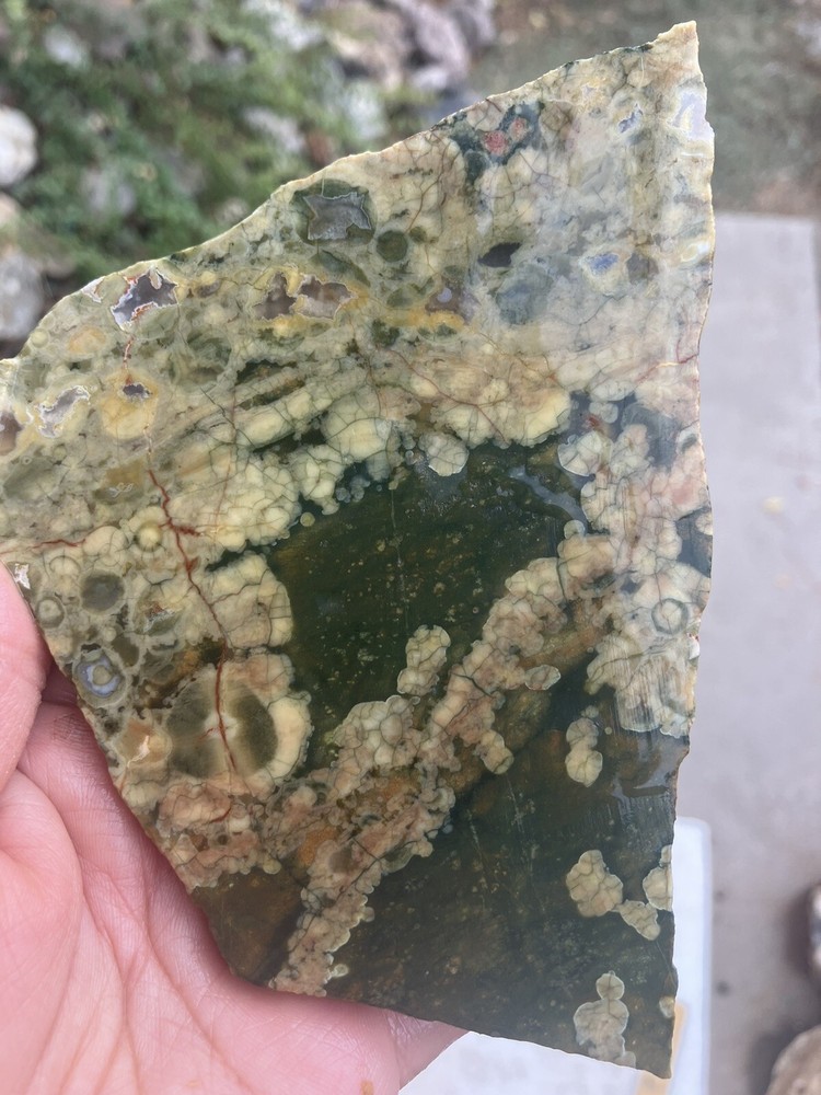 Rainforest Jasper Slab
