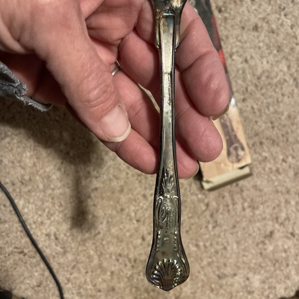 SILVER PLATED SERVING SPOON FRUIT DESIGN New In Box Tarnish