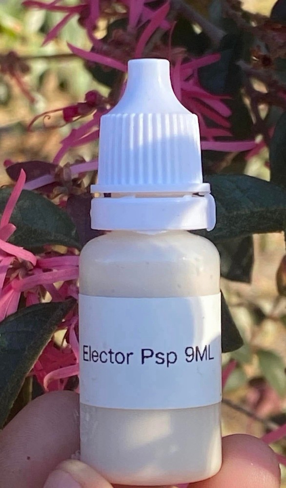 To Spray Or Dip Chickens With For Bugs