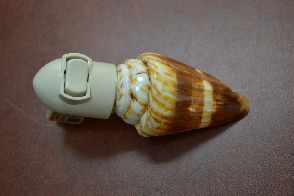 ORANGE RINGED CONE SEA SHELL NIGHT LIGHT BATHROOM KITCHEN #7253