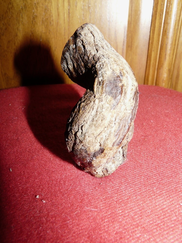 PERU AMAZON AYA. VINE CARVING #4