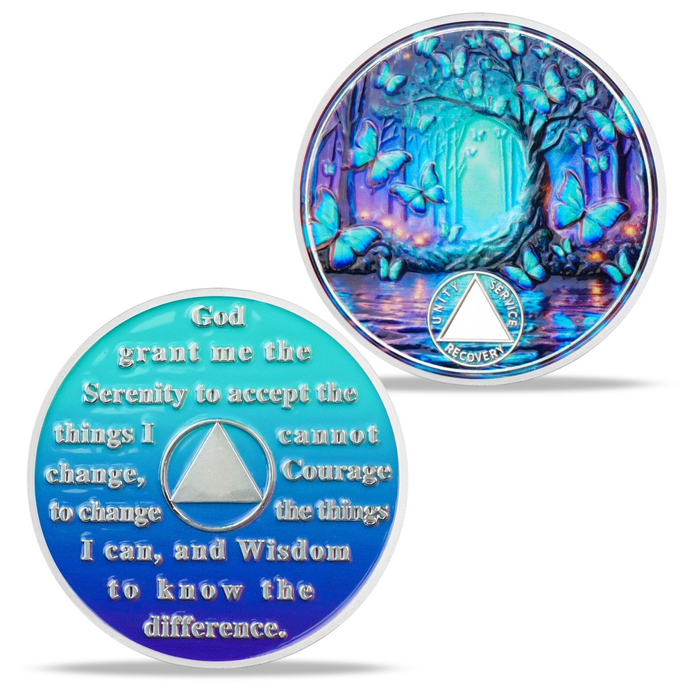 2 Year Sobriety Coin AA Chip Alcoholics Anonymous Medallion Two Year Sober Chips