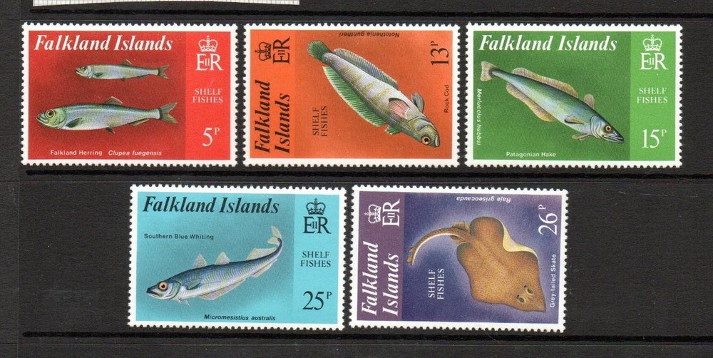 FALKLAND ISLS MNH 1981 SG412-416 SHELL FISH