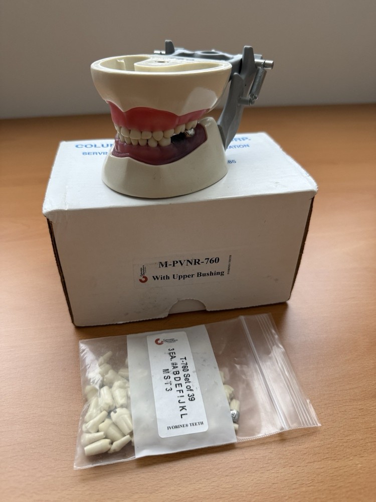Columbia Dental Dentoform Model 760