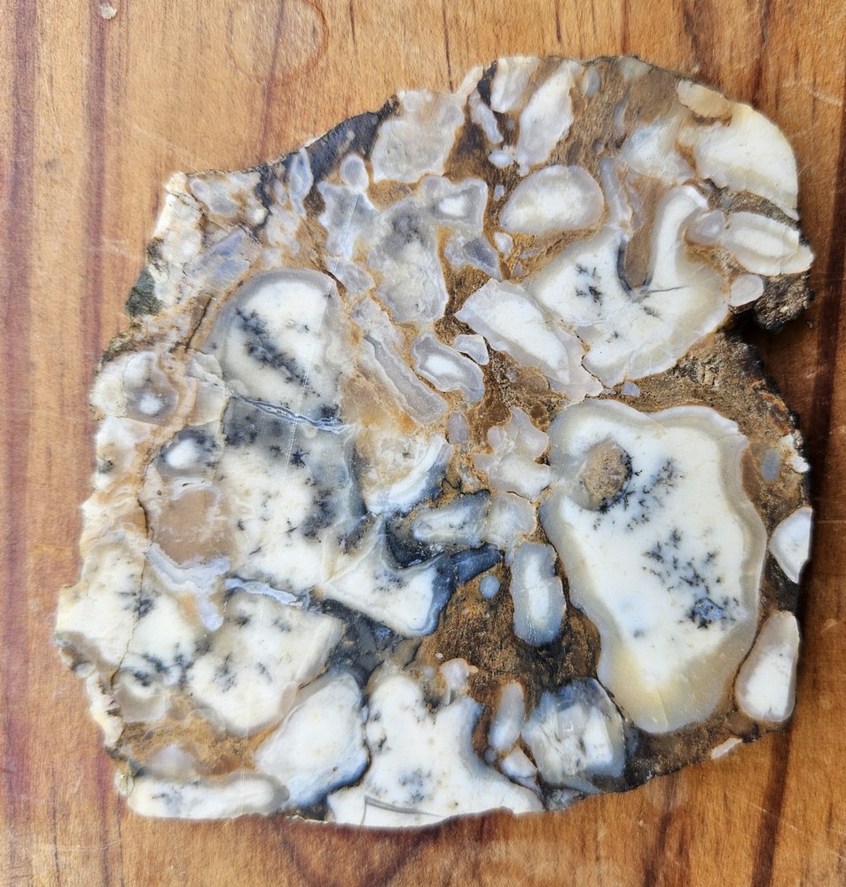 Common Opal With Dendrites Lapidary Slab 64 Grams