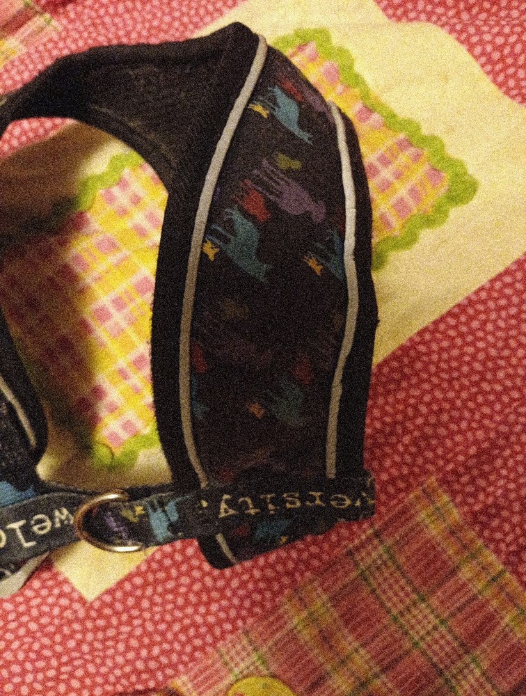 dog harness medium Welcome Diversity