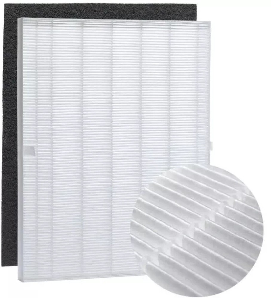 WINIX D480 True HEPA Replacement Filter D4 with 4 Activated CARBON filters(1+4)