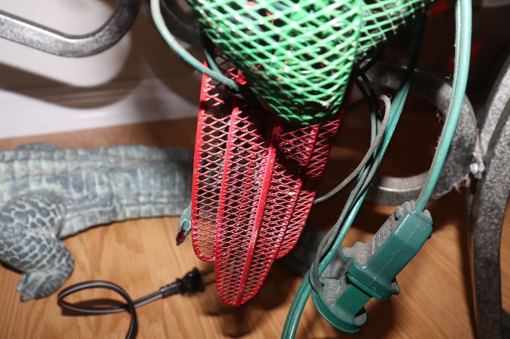 Mechanical/Animated Parrot With Lights by Collections Etc