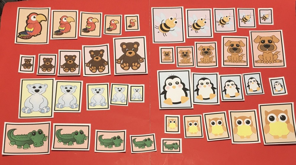 Laminated Sorting Cards - Size Sorting - 40 Cards Set
