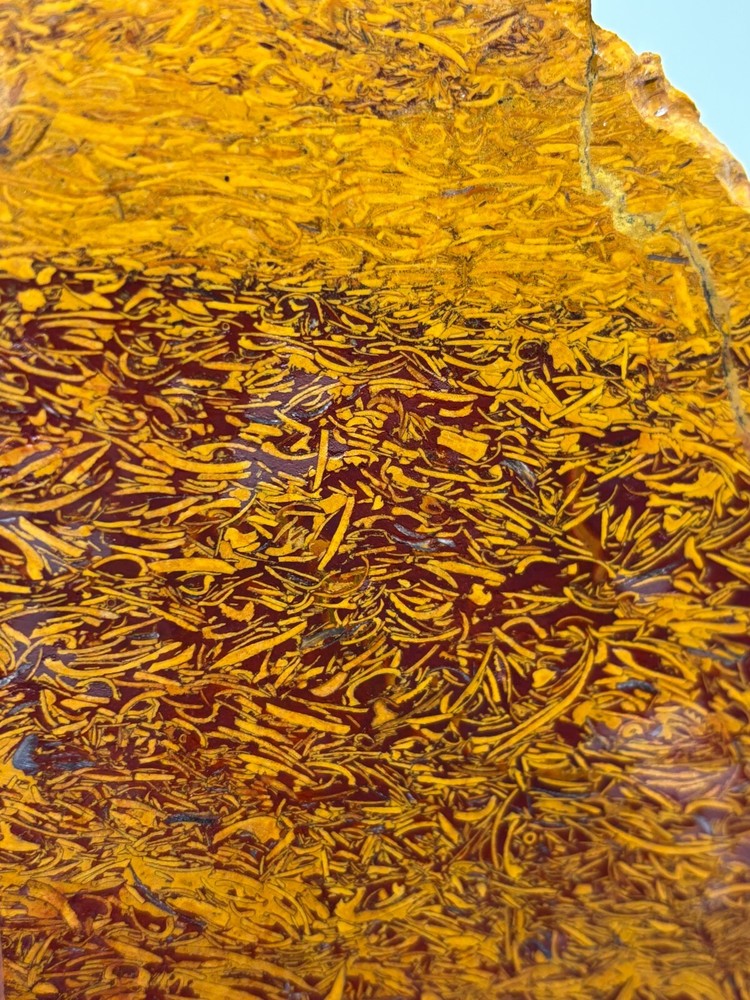 Script Stone Jasper Slab Cabbing Lapidary Collecting Combo Ship Avail