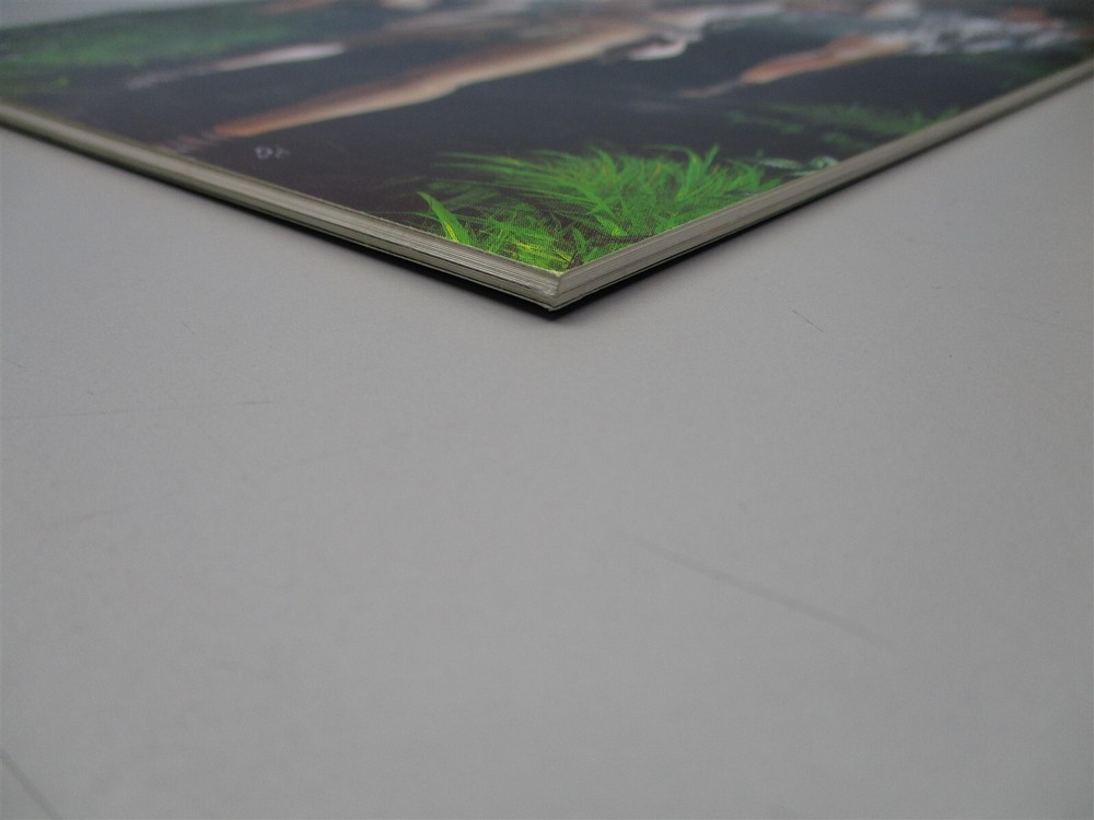 White Wolf Magazine: Issue # 17