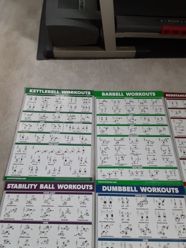 5 + 1 QuickFit Workout Posters 18 x 24, VG+, Laminated, 2 Sided
