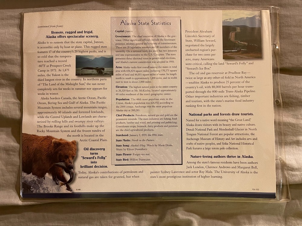 WILLABEE & WARD FLAG PATCH PANE **** ALASKA