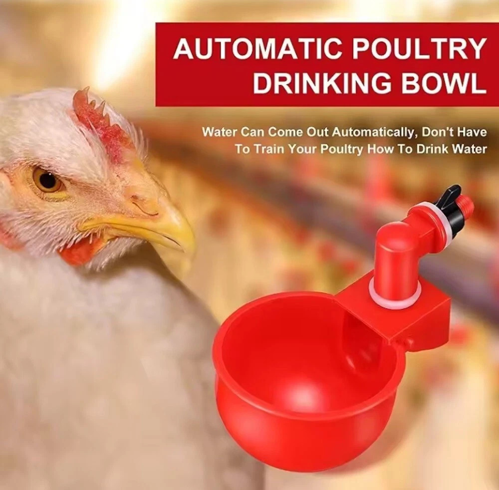 6pcs Automatic Poultry Drinking Cups Chicken Water for Hens Coop