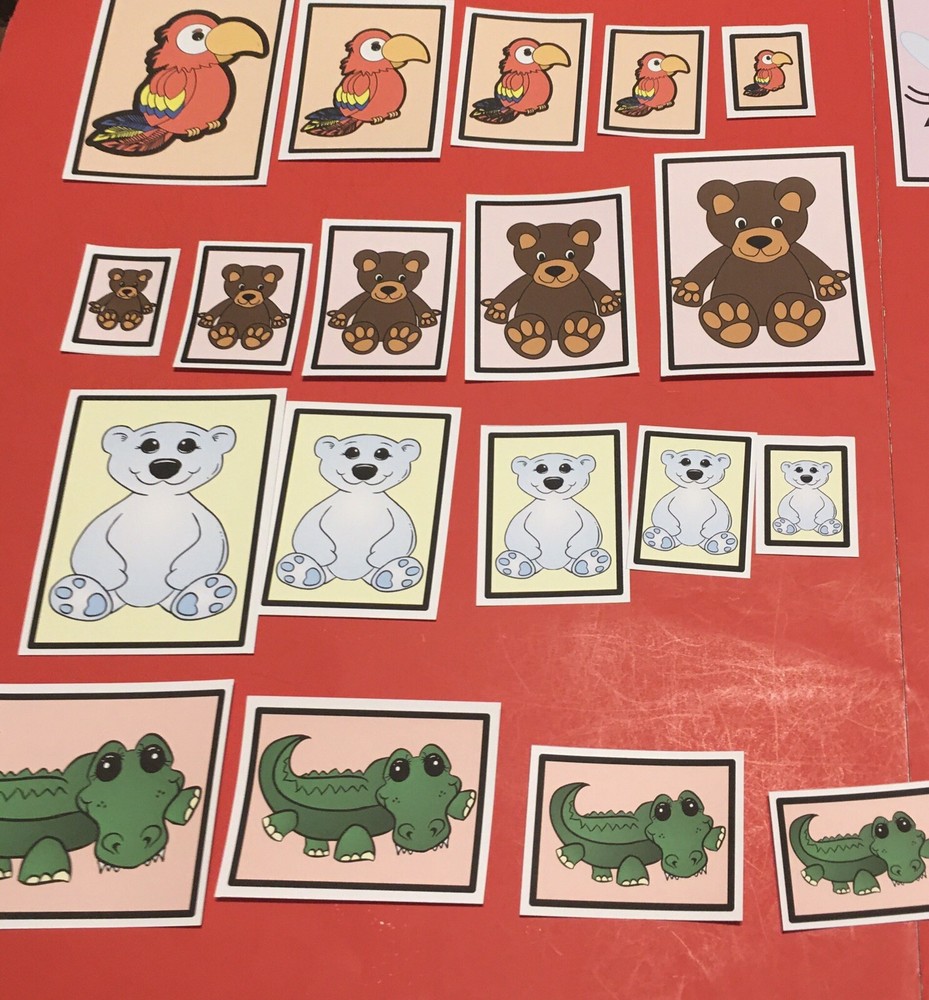 Laminated Sorting Cards - Size Sorting - 40 Cards Set