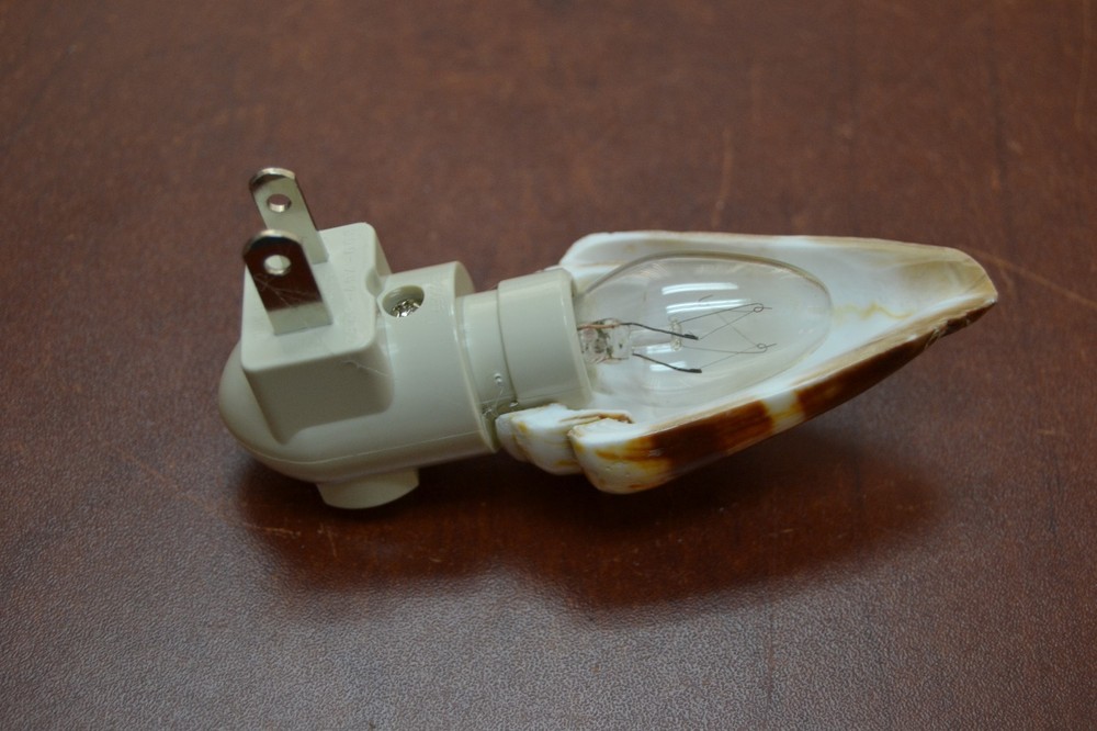 ORANGE RINGED CONE SEA SHELL NIGHT LIGHT BATHROOM KITCHEN #7253
