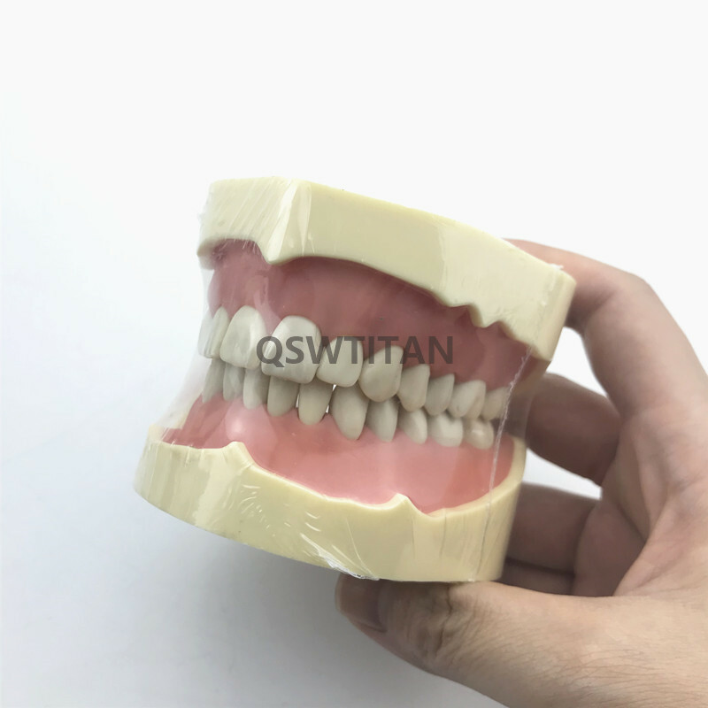 Dental Simulator Manikin Phantom Head practical exercises Head model