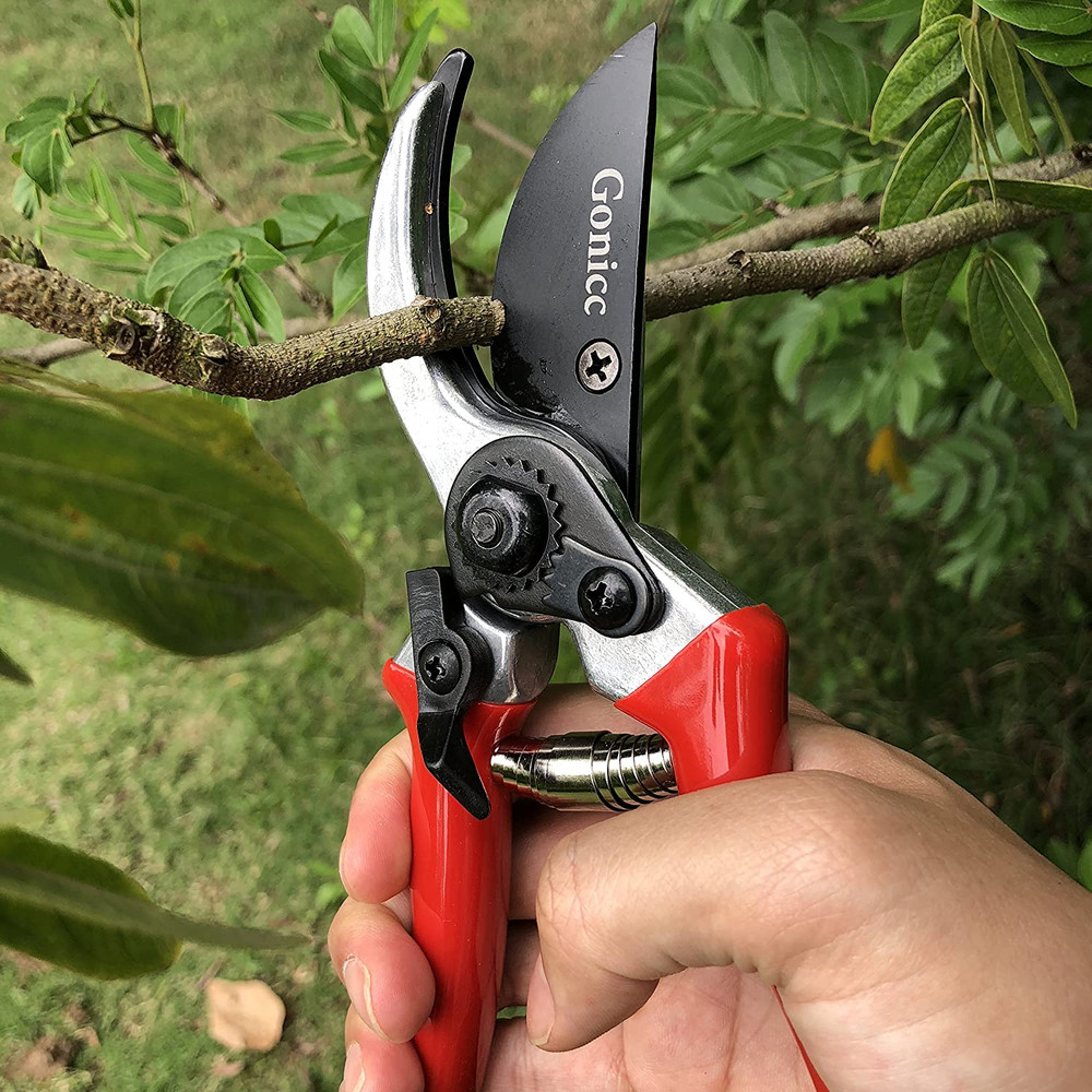 8" Professional Sharp Bypass Pruning Shears (GPPS-1002), Tree Trimmers Secateurs