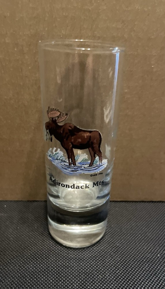 Aderondack Mountains Shot Glass