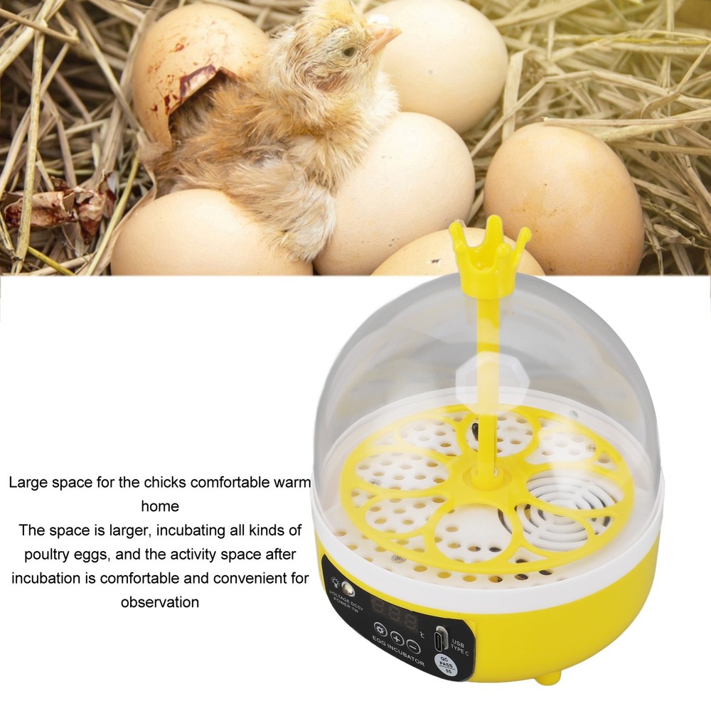 Automatic Temperature Control Mini Egg Incubator For Home Chicken Hatching