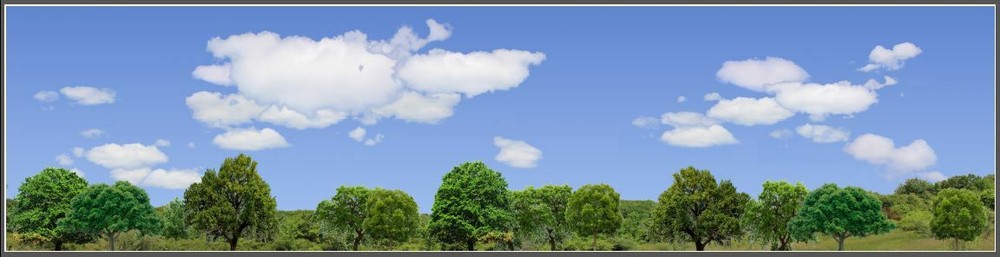 TRACKSIDE BACKDROP #570 Trees and sky N Scale