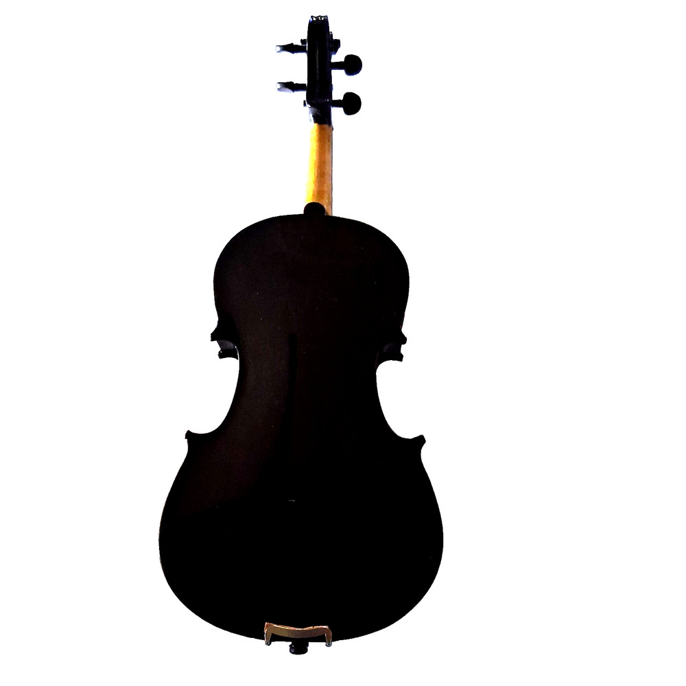 Unbranded 4/4 Size Black Vio;in With Nice Case