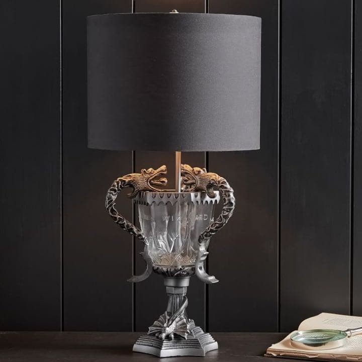 Goblet of Fire Light Harry Potter