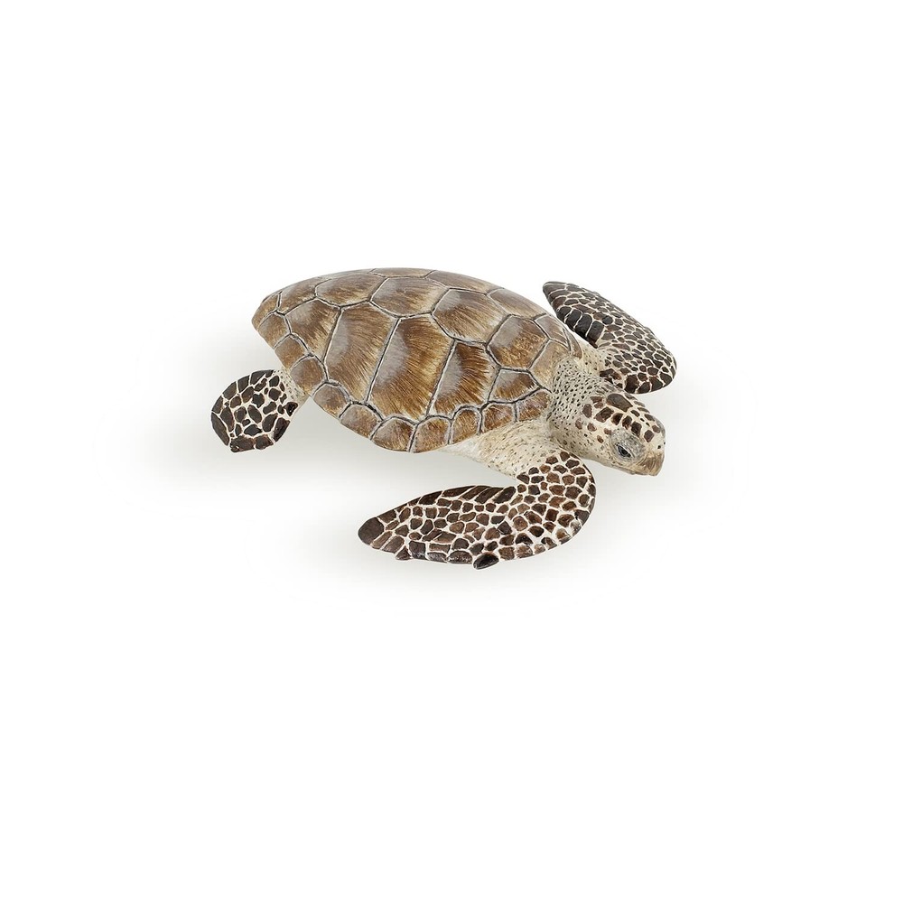 Papo - Loggerhead Turtle - from 3 Years Old - Marine Life Small, Multicolor