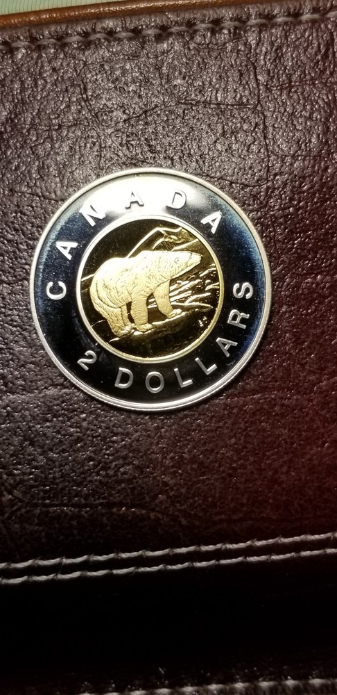 Canada 2000 Silver Proof Gem $2 Gold Plated Rare.