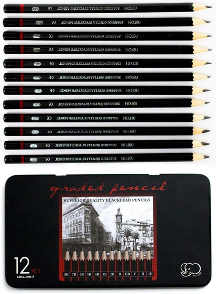 12 Graphite Art Pencil Set with Erasable Feature - Storage Case Included