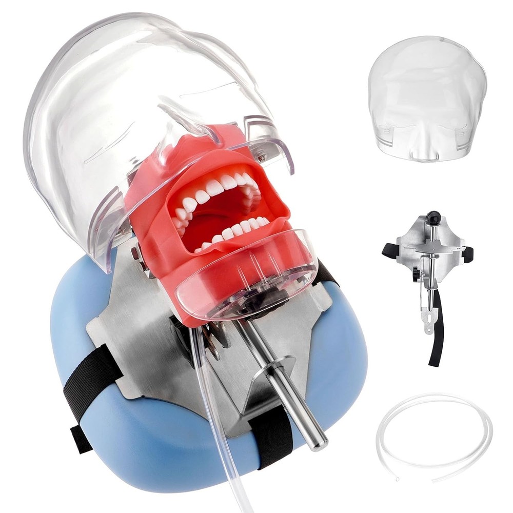 Dental Simulator Mannequin Head Teeth Model Teaching Model &Teeth Mounting Pole
