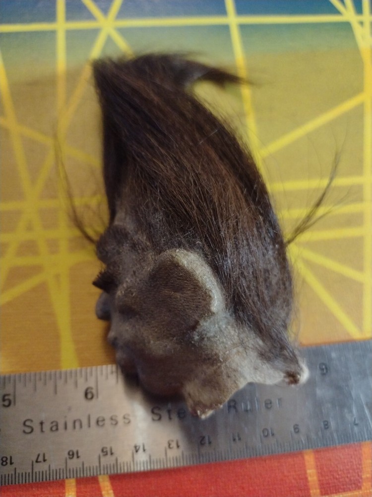 SHRUNKEN HEAD Goatskin Imitation Replica Prop
