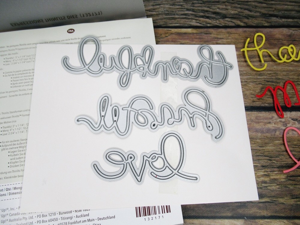 Stampin Up Dies ~ Love ~ Merry ~ Thankful ~ EXPRESSIONS THINLITS DIES ~ Big Shot