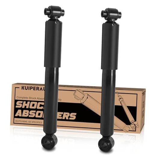 Pair Rear Shocks Struts Assembly Compatible for 2002-2007 Buick 2x Rear Struts