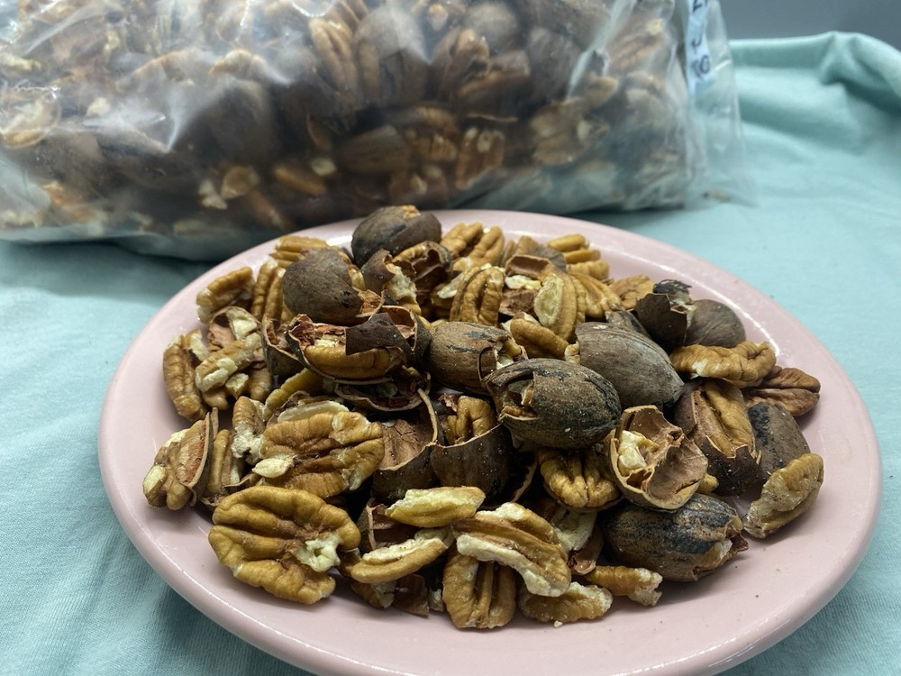Oklahoma Cracked & Blown Pecans 2 Pound #25-109