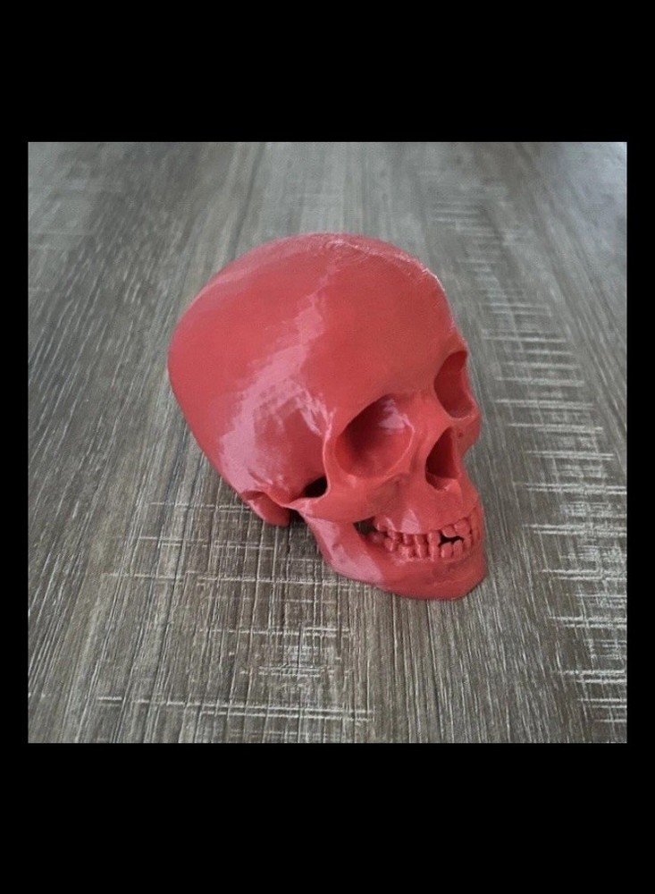 3D Printed Red Human Skull Halloween Skull