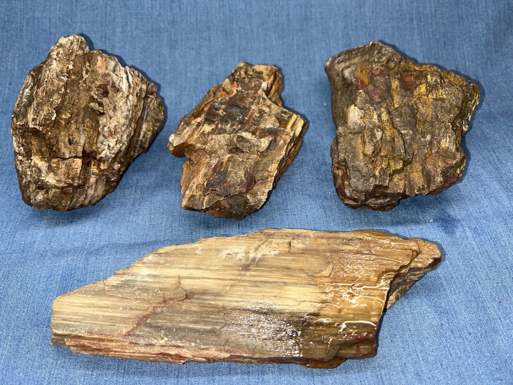 Unique chalcedony/agate specimen featuring botryoidal (bubbly) formations