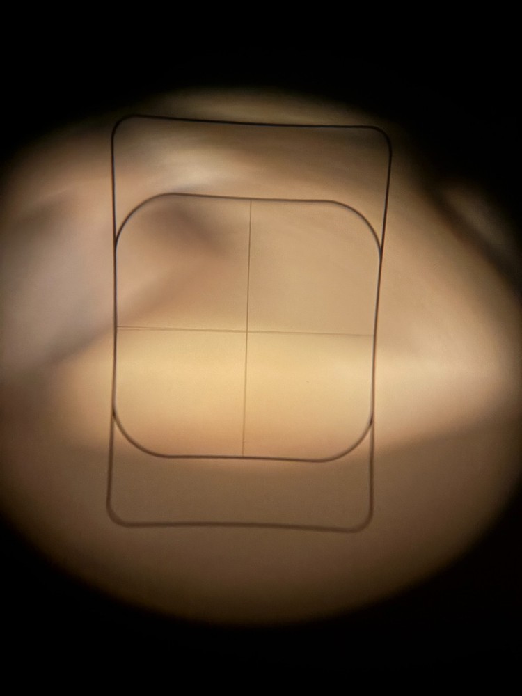 Zeiss Optical Eyepiece 126367 Microscope Lens