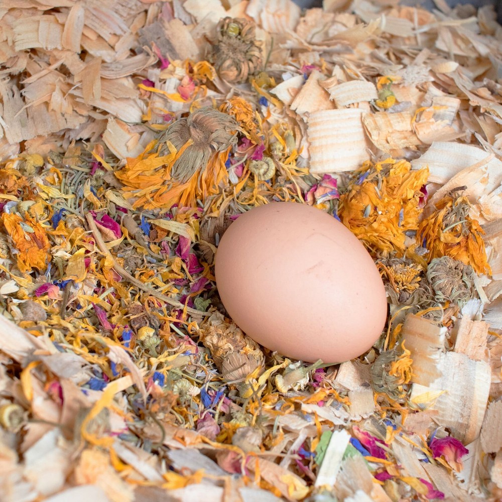 Best Eggs Ever! All Natural Nesting Herbs For Backyard Poultry & Chickens