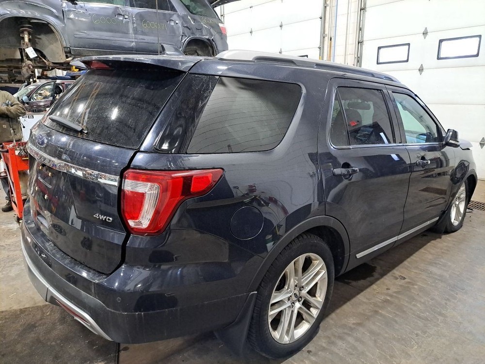 2017 Explorer Jack Sku#4371318