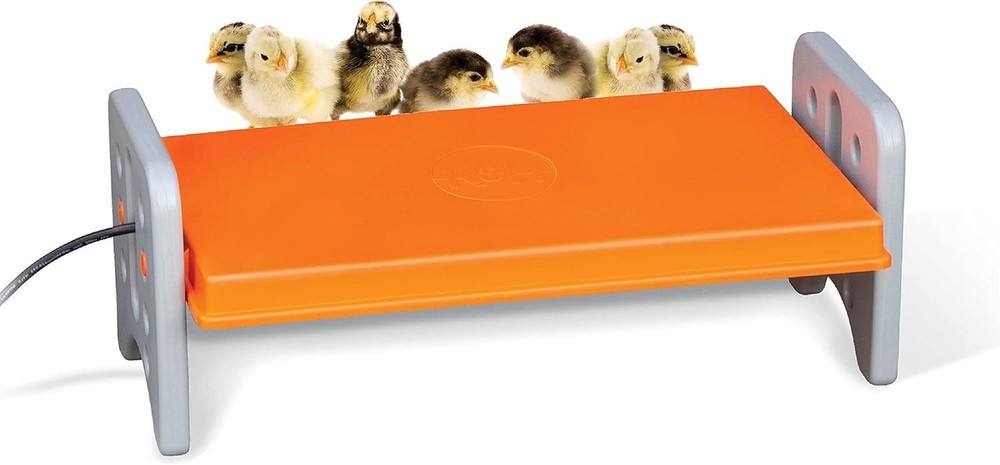 Large Chicken Brooder Heater - Adjustable Height, Safety Approved for 30 Chicks
