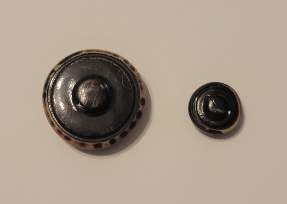 2 Vintage Bubble Top Tight Top Celluloid Buttons Triangle Design