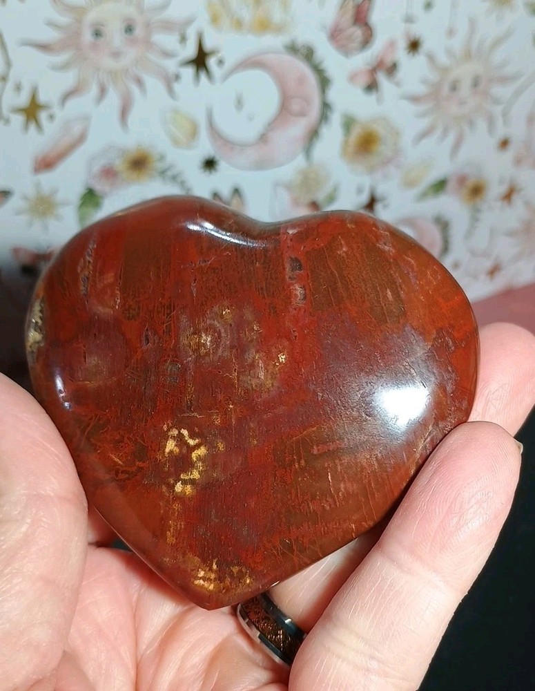 Petrified Wood Heart