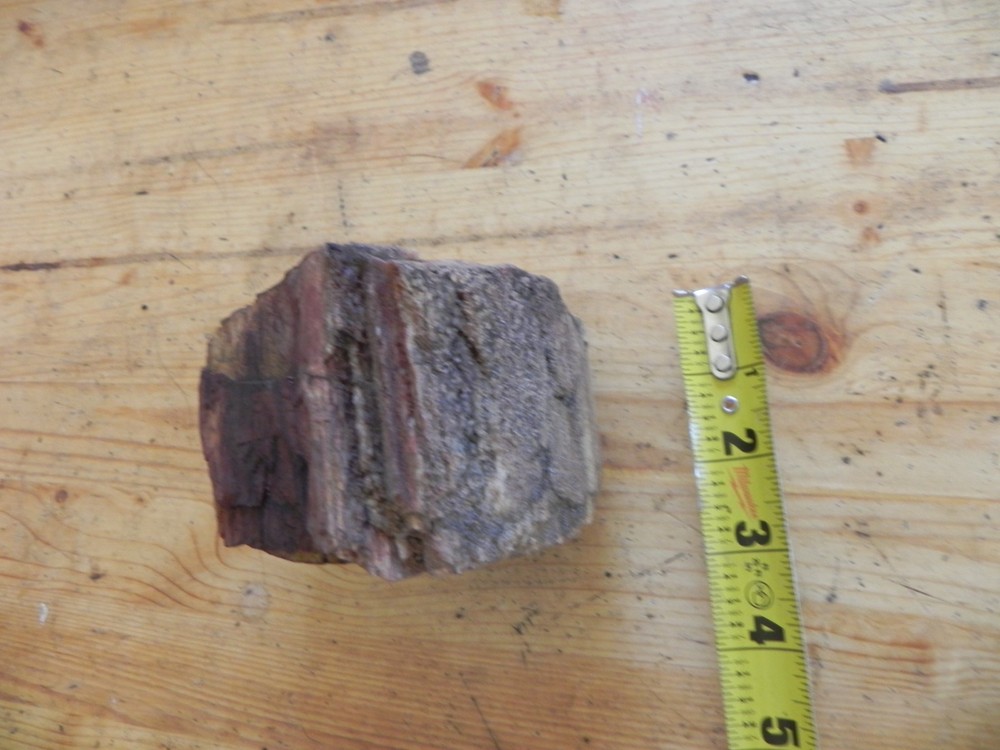 Petrified wood 2.4 pounds