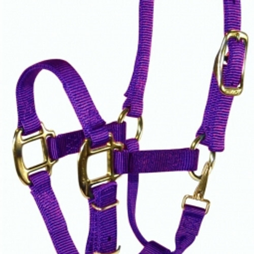 Hamilton Quality 3/4" Nylon Adjustable Halter With Snap